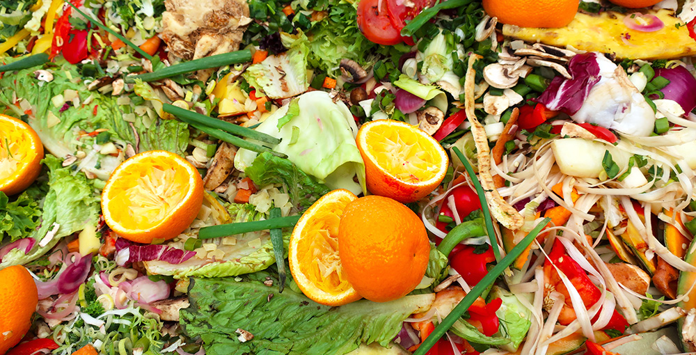 Why Choose RSL for Food Waste?